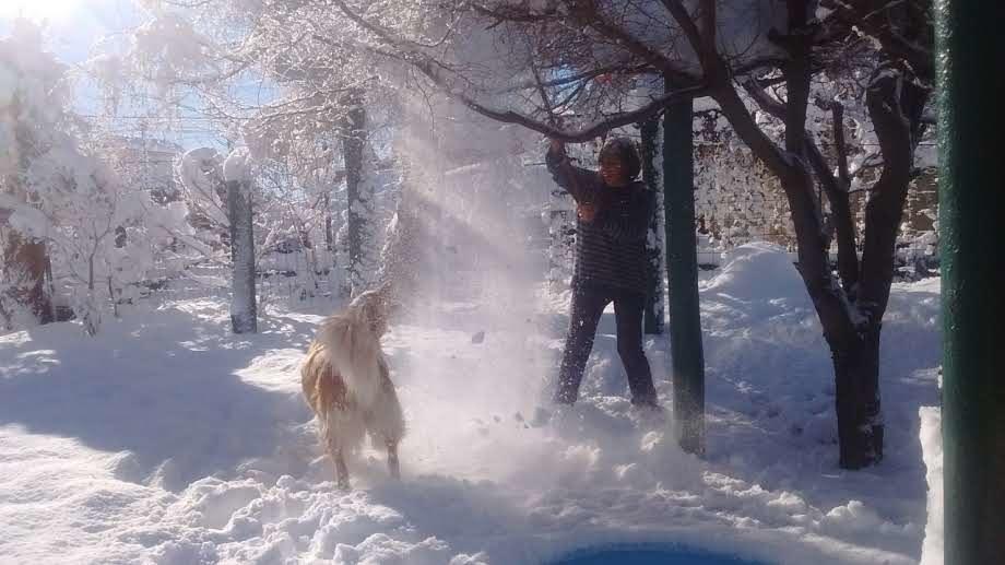 Casa Familiar Zarza Mora Daire San Carlos de Bariloche Dış mekan fotoğraf